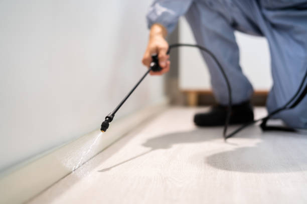 Licensed Cockroach Control service in Temple, GA - Nex Pest Control