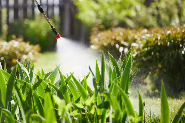 24/7 Emergency Cockroach Control experts in Temple, GA