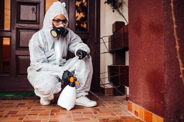 Reliable Cockroach Control contractor in Temple, GA by Nex Pest Control